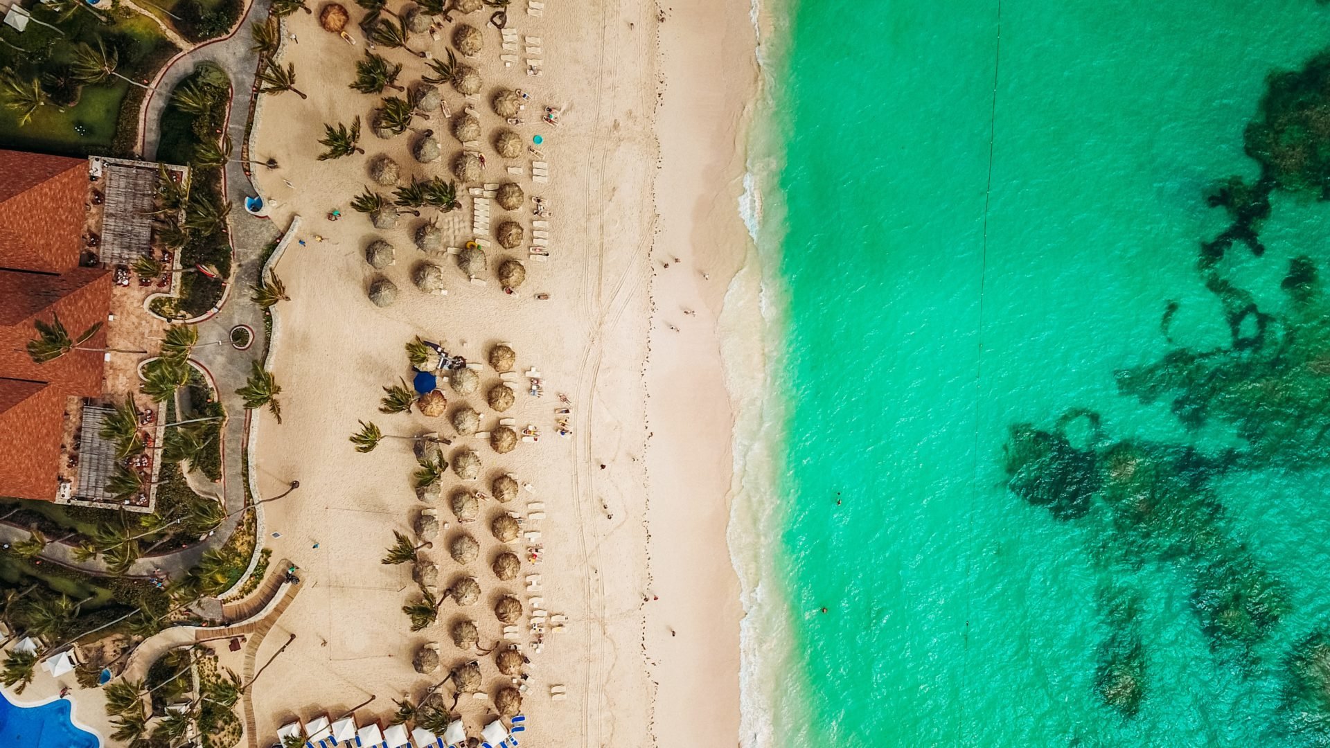 Resort beach front in the Dominican Republic