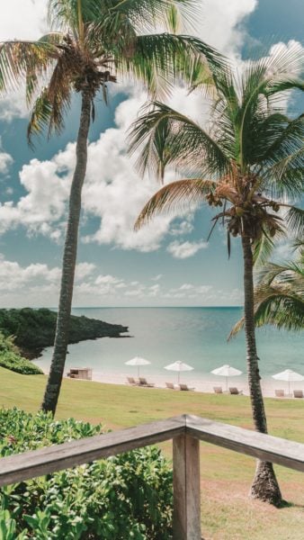 beach area in the Bahamas