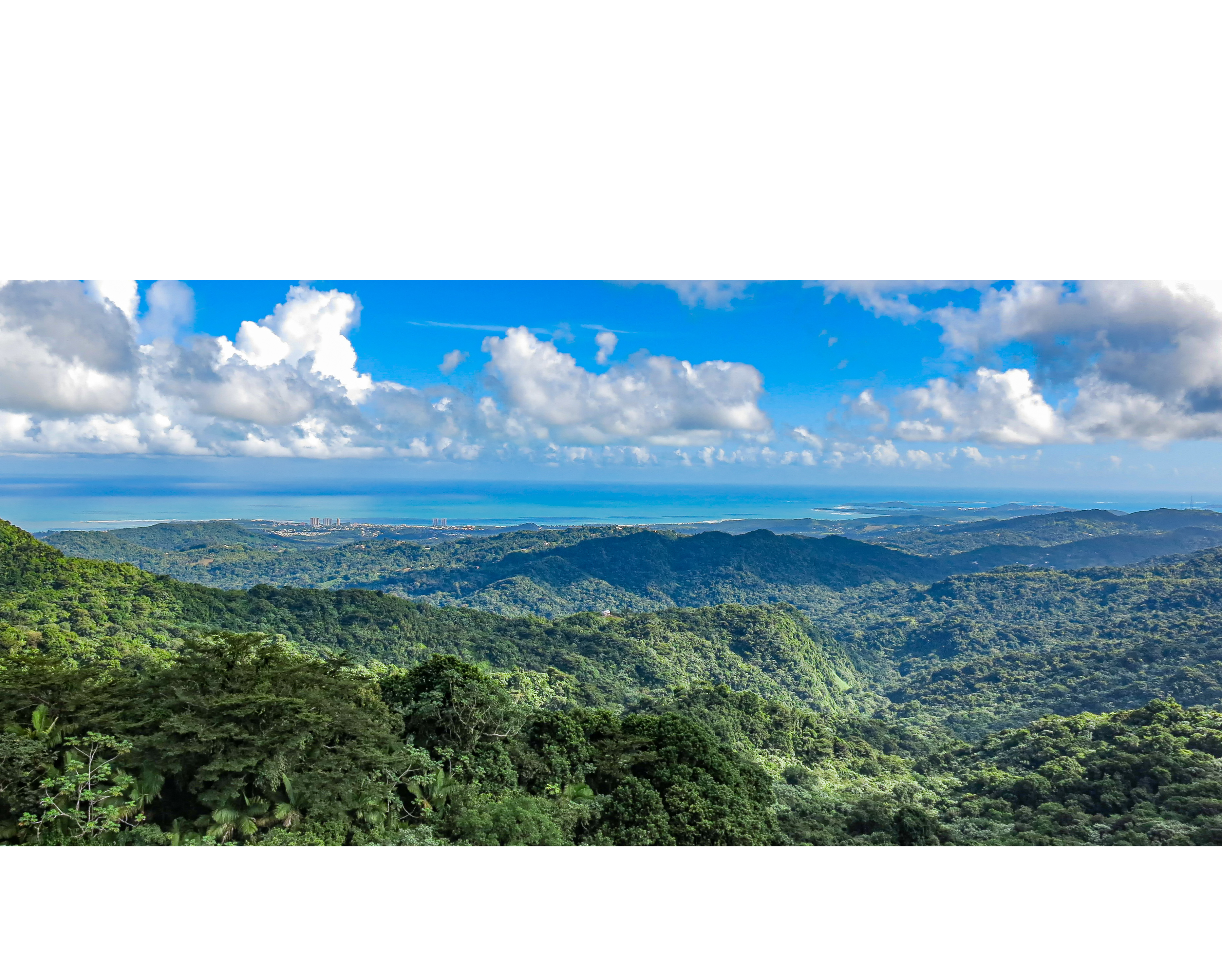 View from El Yunque