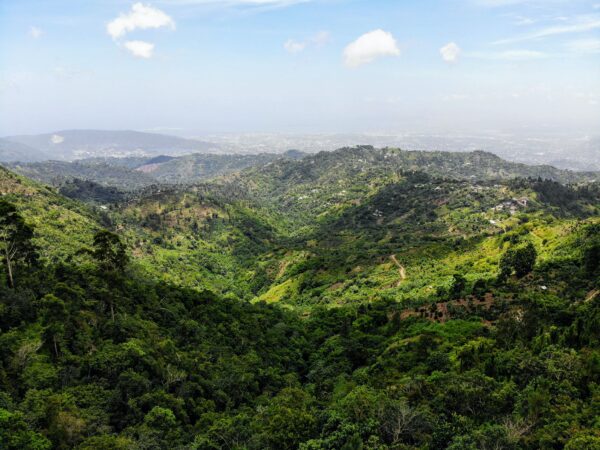 blue mountains in Jamaica