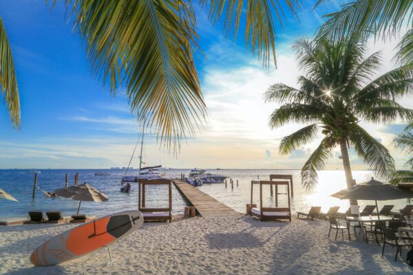 beach with palm trees at isla mujeres