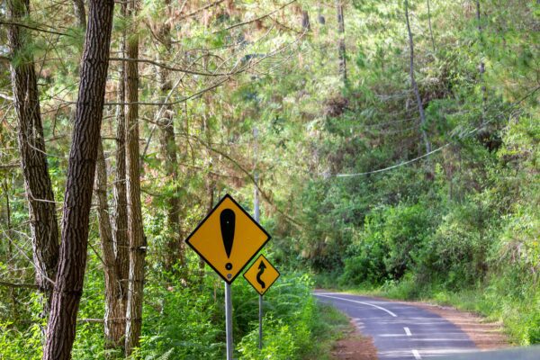 road with forest surrounding it and one yellow warning sign with exclamation and another yellow sign with a curve arrow