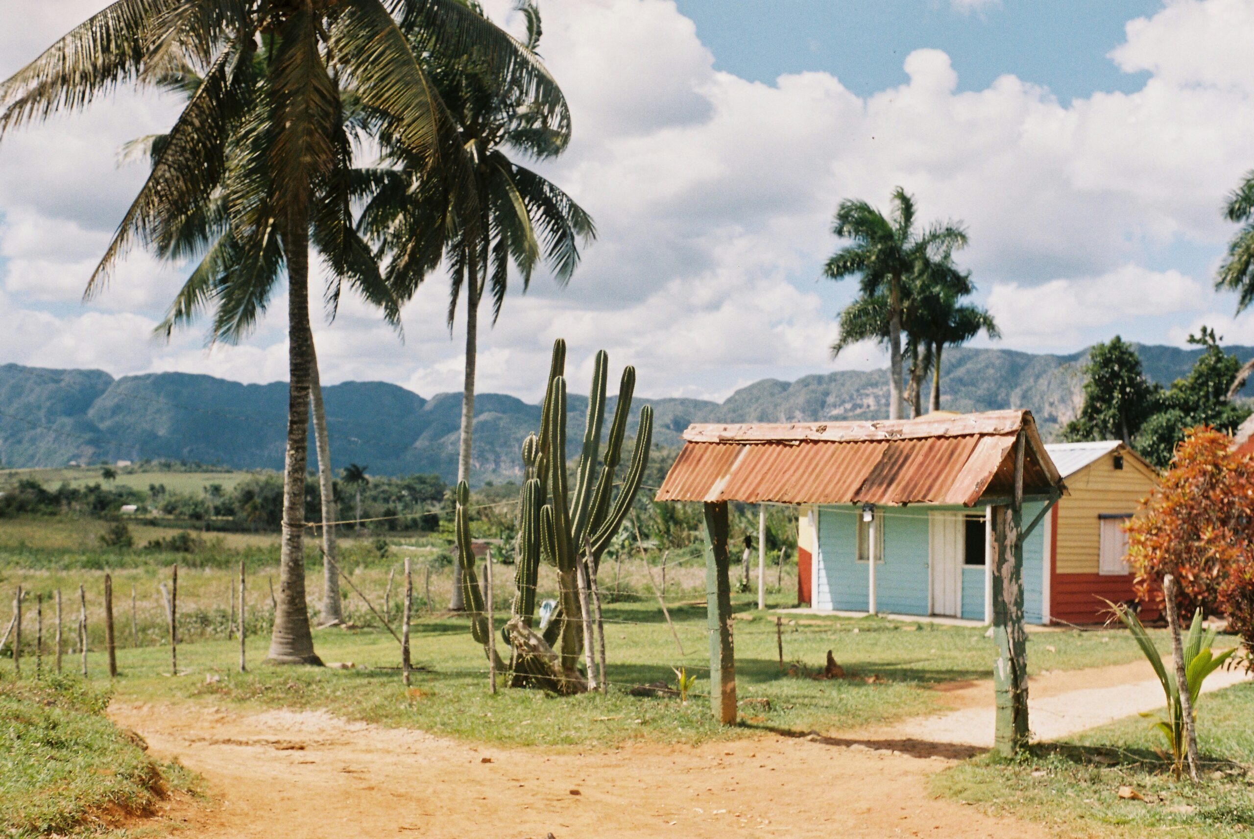 scenery of vinales valley in Cuba with cacti, palm trees, and some hills off in the distance