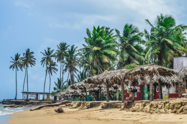 palm beaches on a beach in Jamaica